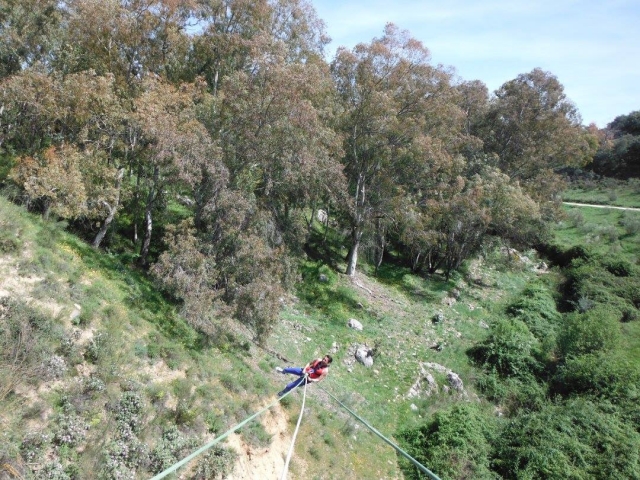 Pendulating over the forest 